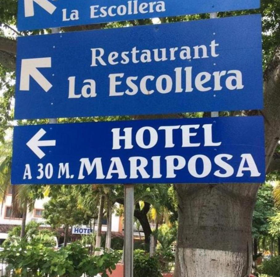 Mariposa Zihuatanejo